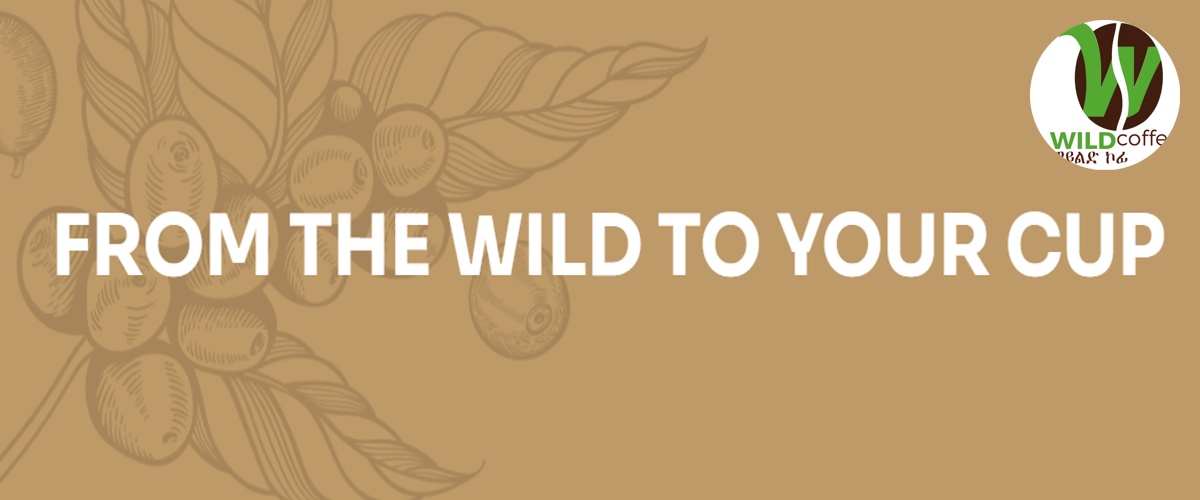 Wildcoffee cover photo