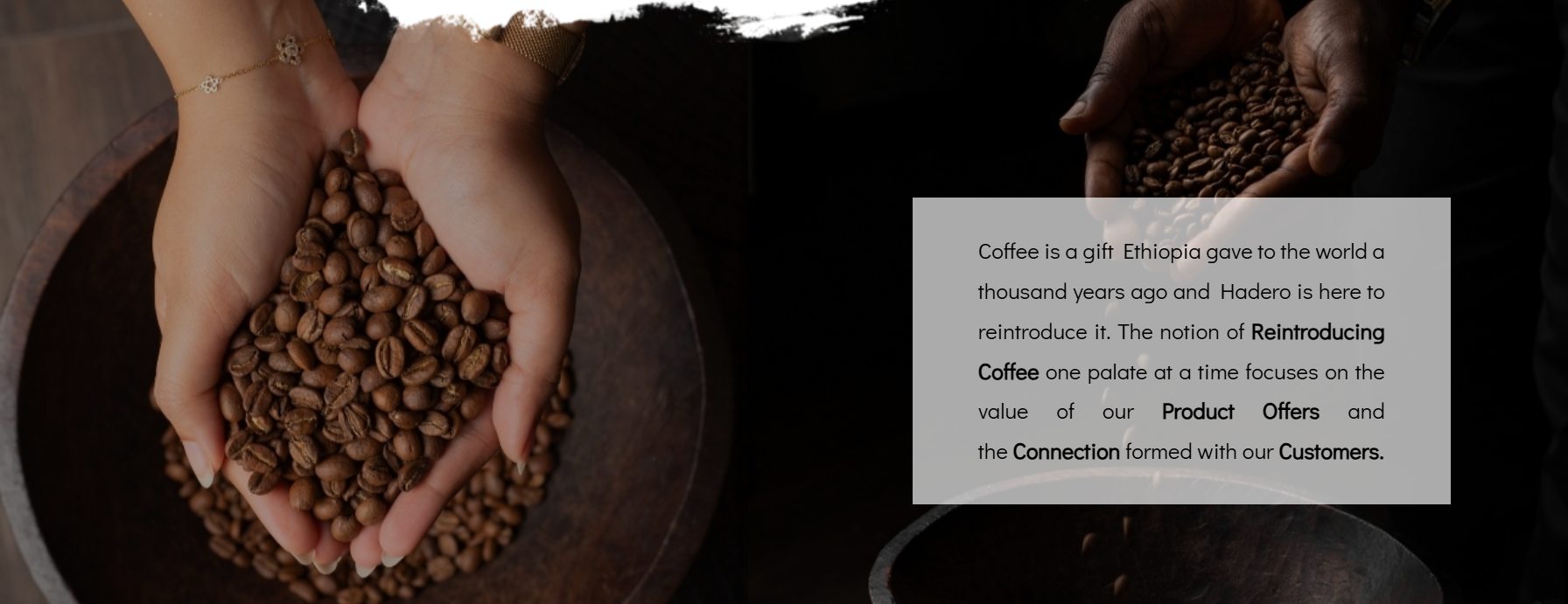 Hadero Coffee cover photo