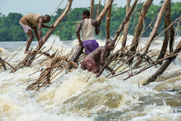 Congolese Heritage & the Spirit of Rumba