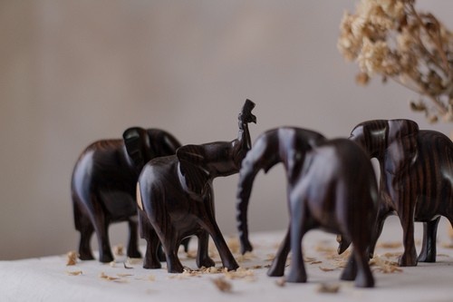 Nsofu Makassar Elephant Herd