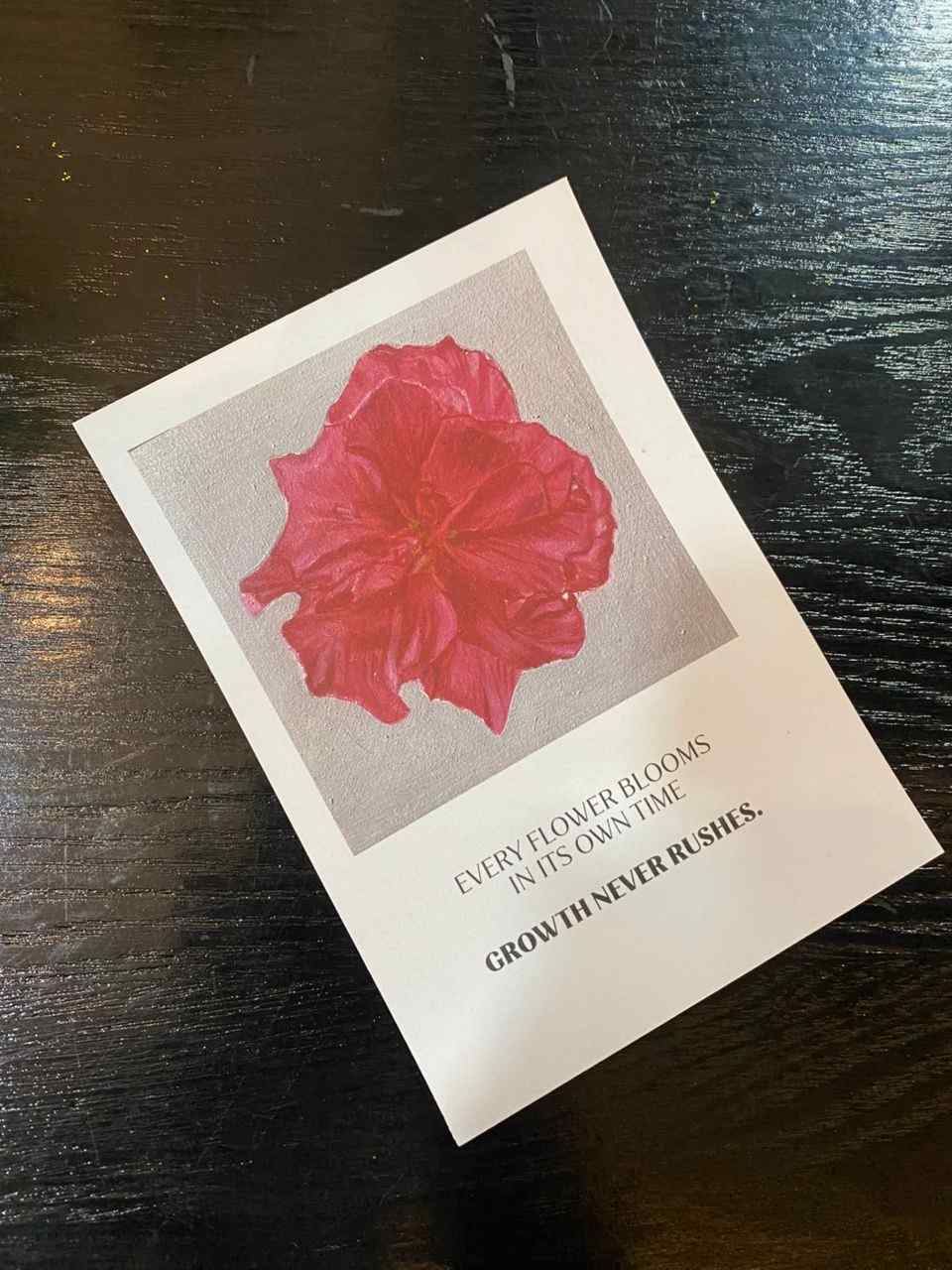 Everyone Has Their Own Pace Postcard